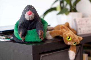 Der ängstliche Maulwurf Psychotherapie Susanne Kiessling / Psychotherapeutische Praxis für Kinder und Jugendliche in Bochum - Die Räumlichkeiten der Praxis